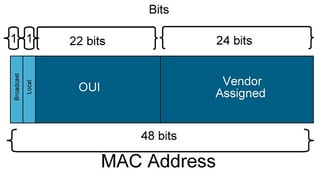 22-mac-address