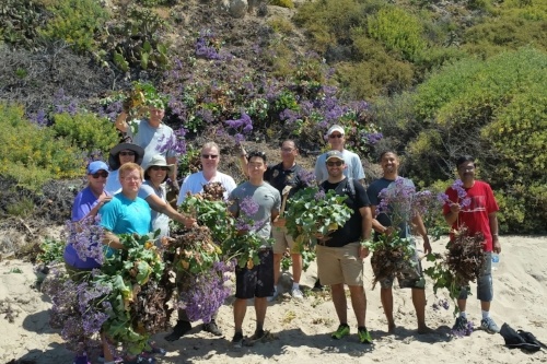 Silex-volunteers3