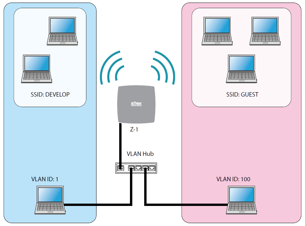 z1-vlan