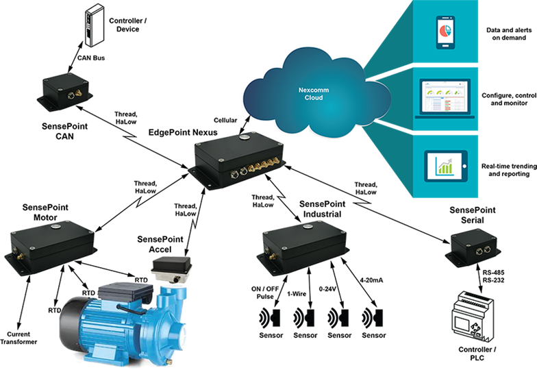 Silex Nexcomm case study graphic-sk